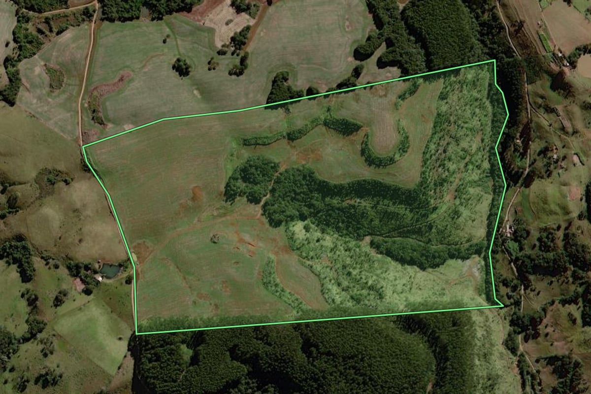 Imagem de satélite do imóvel rural em Palmital (PR), com o contorno declarado no CAR desenhado por cima.