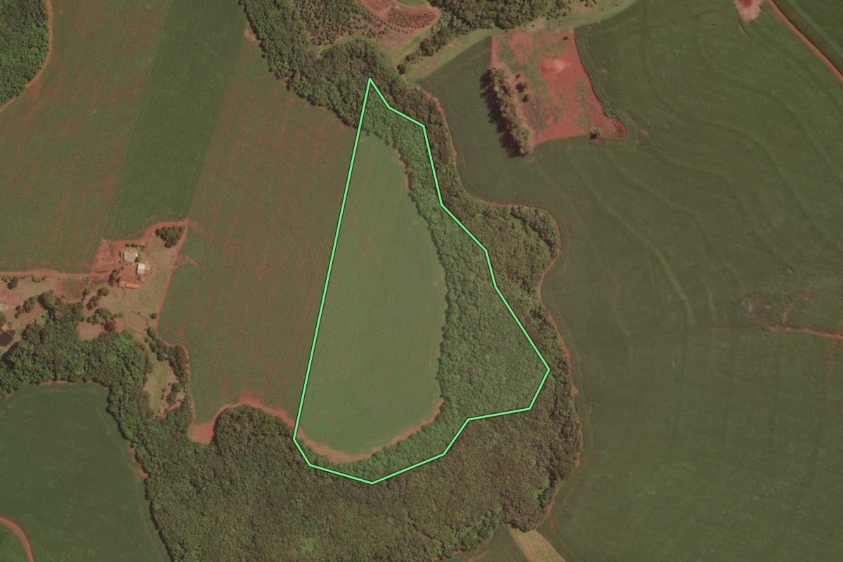 Imagem de satélite do imóvel rural em Palotina (PR), com o contorno declarado no CAR desenhado por cima.