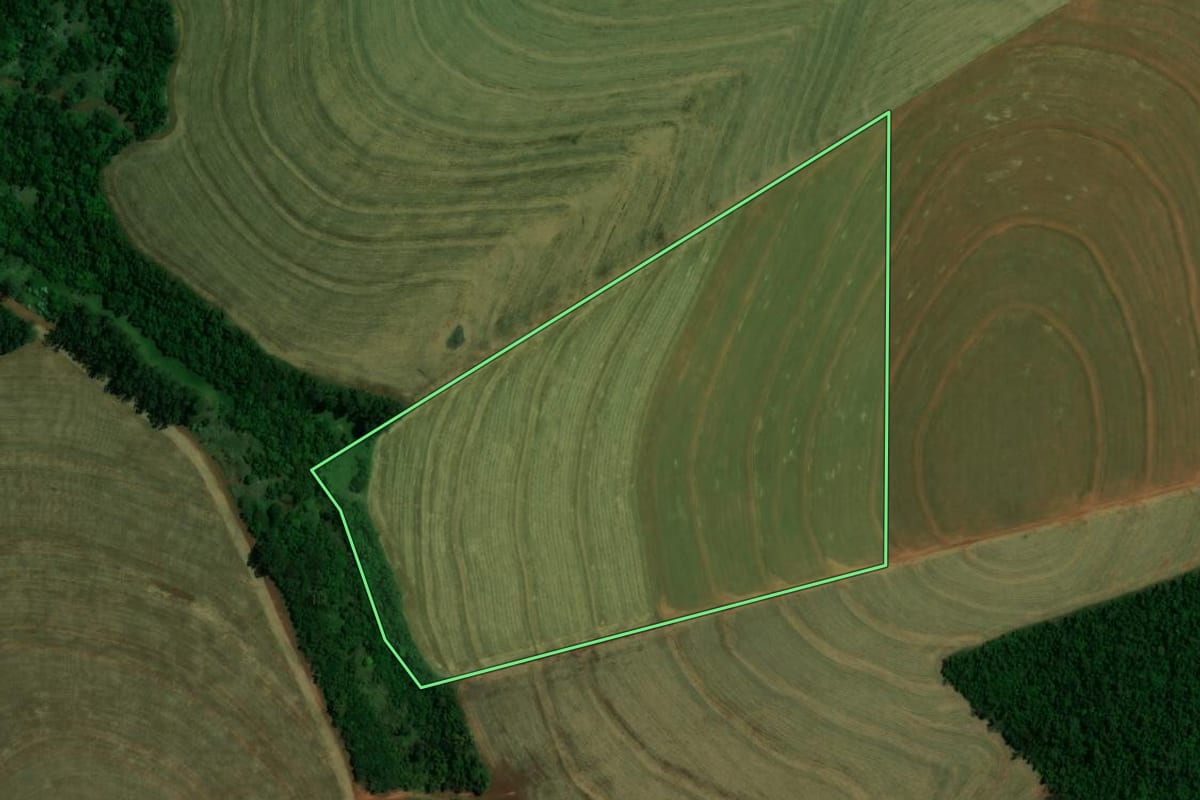 Imagem de satélite do imóvel rural em Palotina (PR), com o contorno declarado no CAR desenhado por cima.