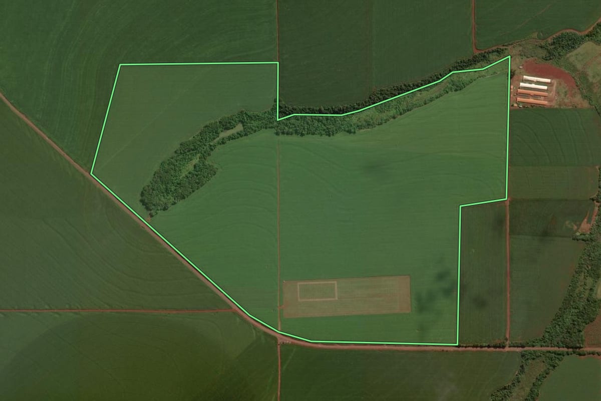 Imagem de satélite do imóvel rural em Palotina (PR), com o contorno declarado no CAR desenhado por cima.
