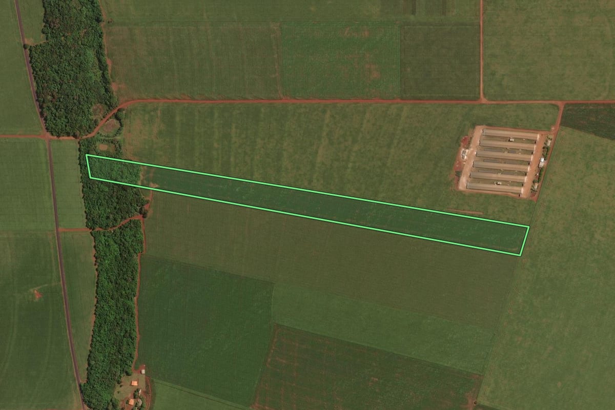 Imagem de satélite do imóvel rural em Palotina (PR), com o contorno declarado no CAR desenhado por cima.
