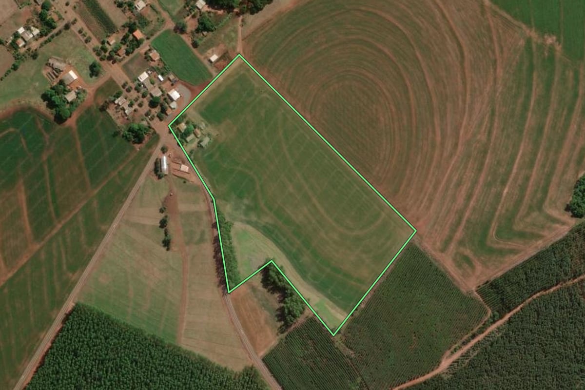 Imagem de satélite do imóvel rural em Palotina (PR), com o contorno declarado no CAR desenhado por cima.