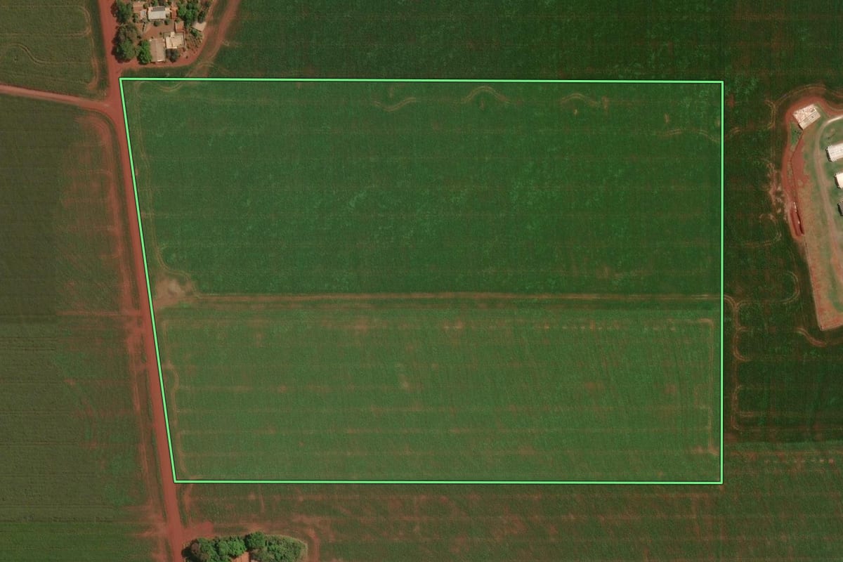Imagem de satélite do imóvel rural em Palotina (PR), com o contorno declarado no CAR desenhado por cima.