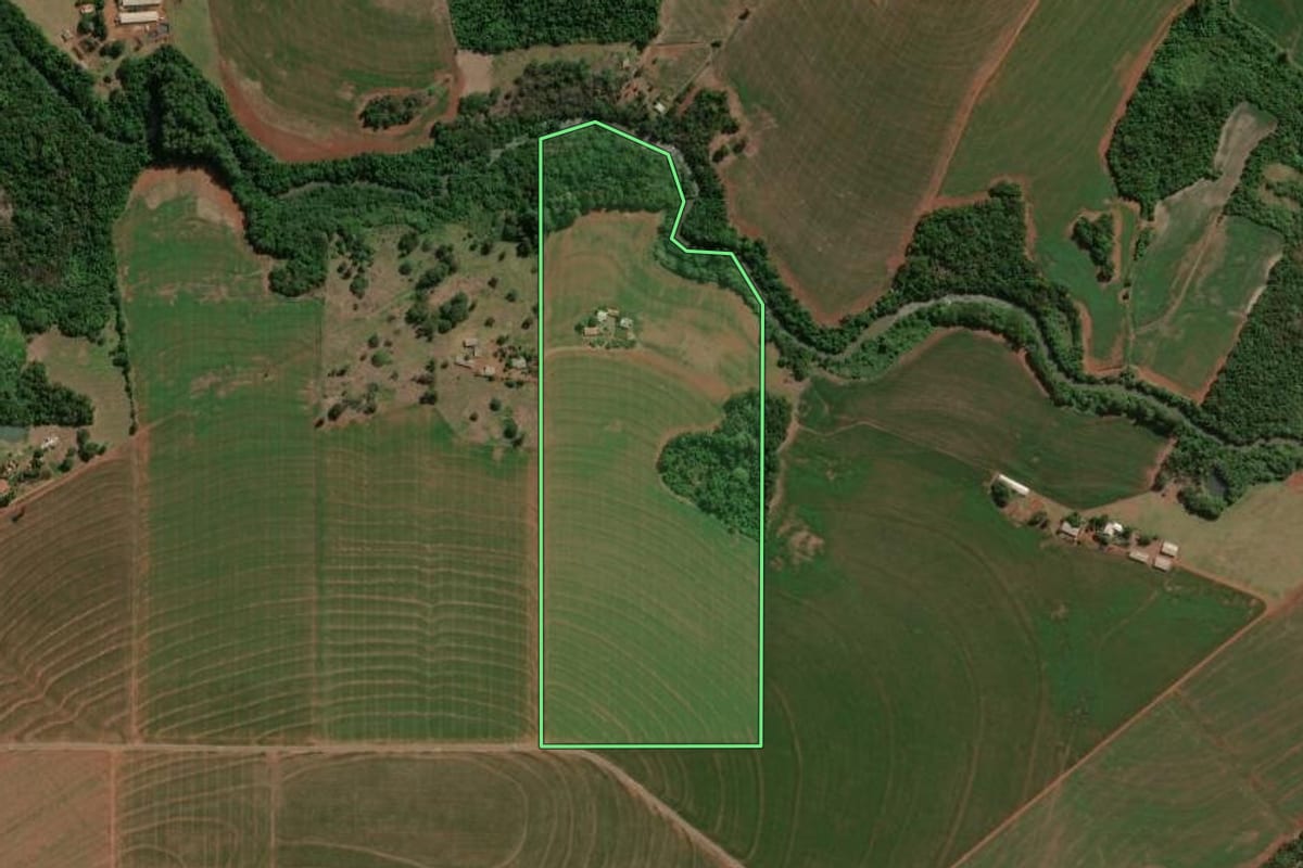 Imagem de satélite do imóvel rural em Palotina (PR), com o contorno declarado no CAR desenhado por cima.