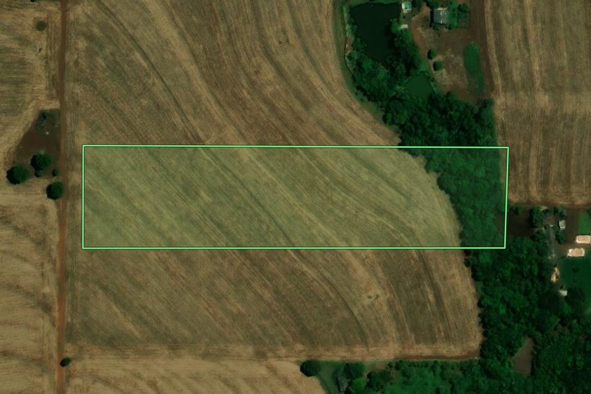 Imagem de satélite do imóvel rural em Palotina (PR), com o contorno declarado no CAR desenhado por cima.