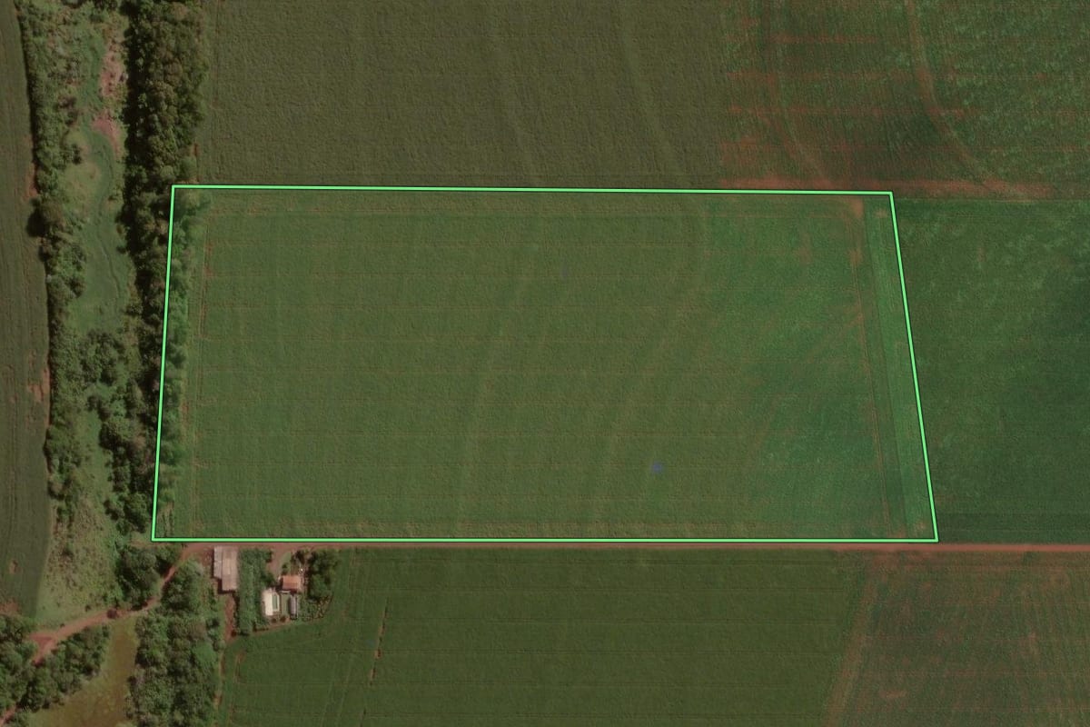 Imagem de satélite do imóvel rural em Palotina (PR), com o contorno declarado no CAR desenhado por cima.
