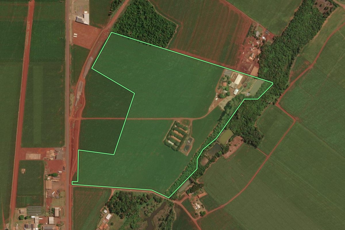 Imagem de satélite do imóvel rural em Palotina (PR), com o contorno declarado no CAR desenhado por cima.