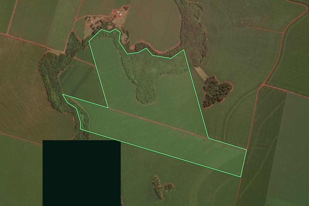 Imagem de satélite do imóvel rural em Palotina (PR), com o contorno declarado no CAR desenhado por cima.
