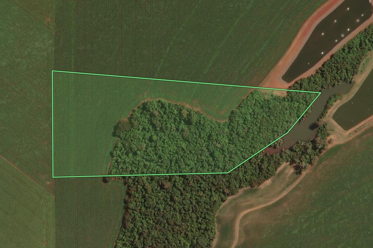 Imagem de satélite do imóvel rural em Palotina (PR), com o contorno declarado no CAR desenhado por cima.