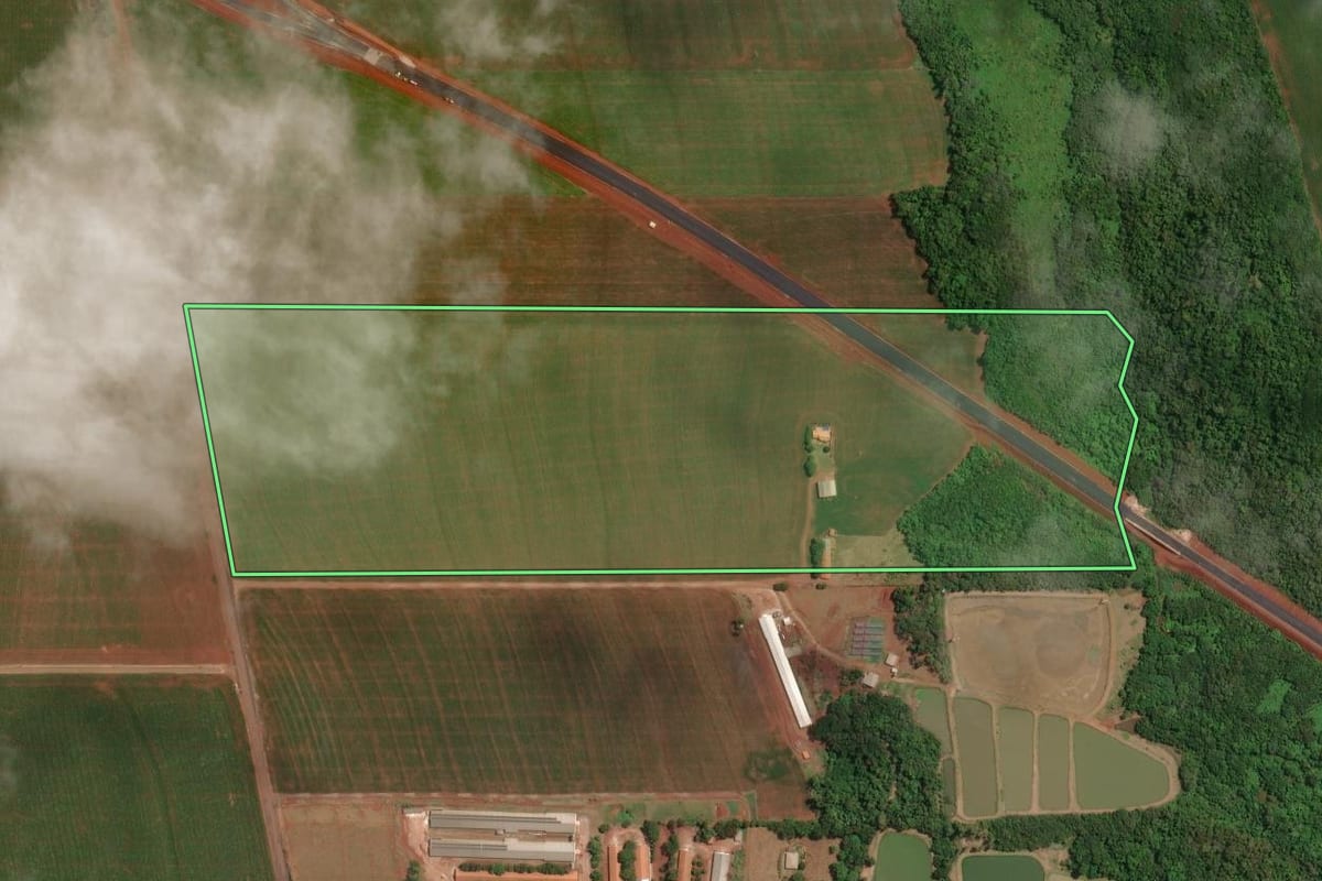 Imagem de satélite do imóvel rural em Palotina (PR), com o contorno declarado no CAR desenhado por cima.