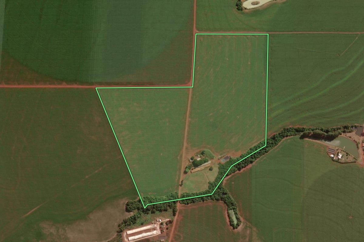 Imagem de satélite do imóvel rural em Palotina (PR), com o contorno declarado no CAR desenhado por cima.