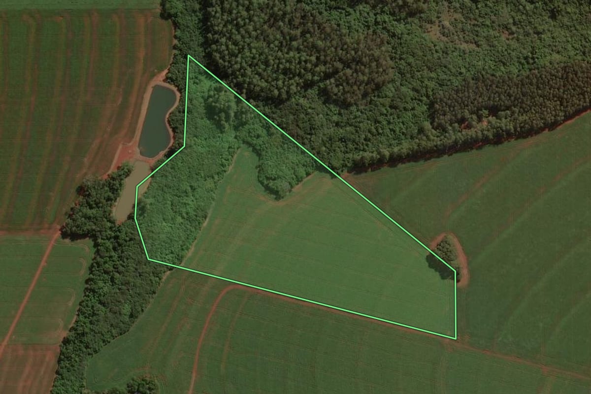 Imagem de satélite do imóvel rural em Palotina (PR), com o contorno declarado no CAR desenhado por cima.
