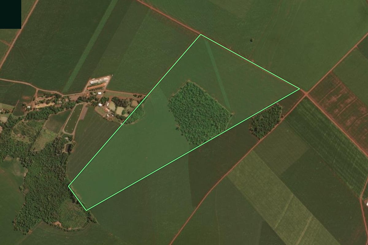 Imagem de satélite do imóvel rural em Palotina (PR), com o contorno declarado no CAR desenhado por cima.