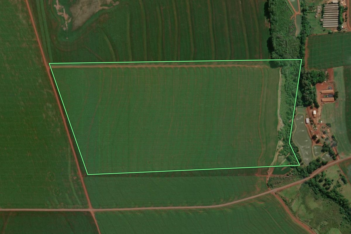 Imagem de satélite do imóvel rural em Palotina (PR), com o contorno declarado no CAR desenhado por cima.