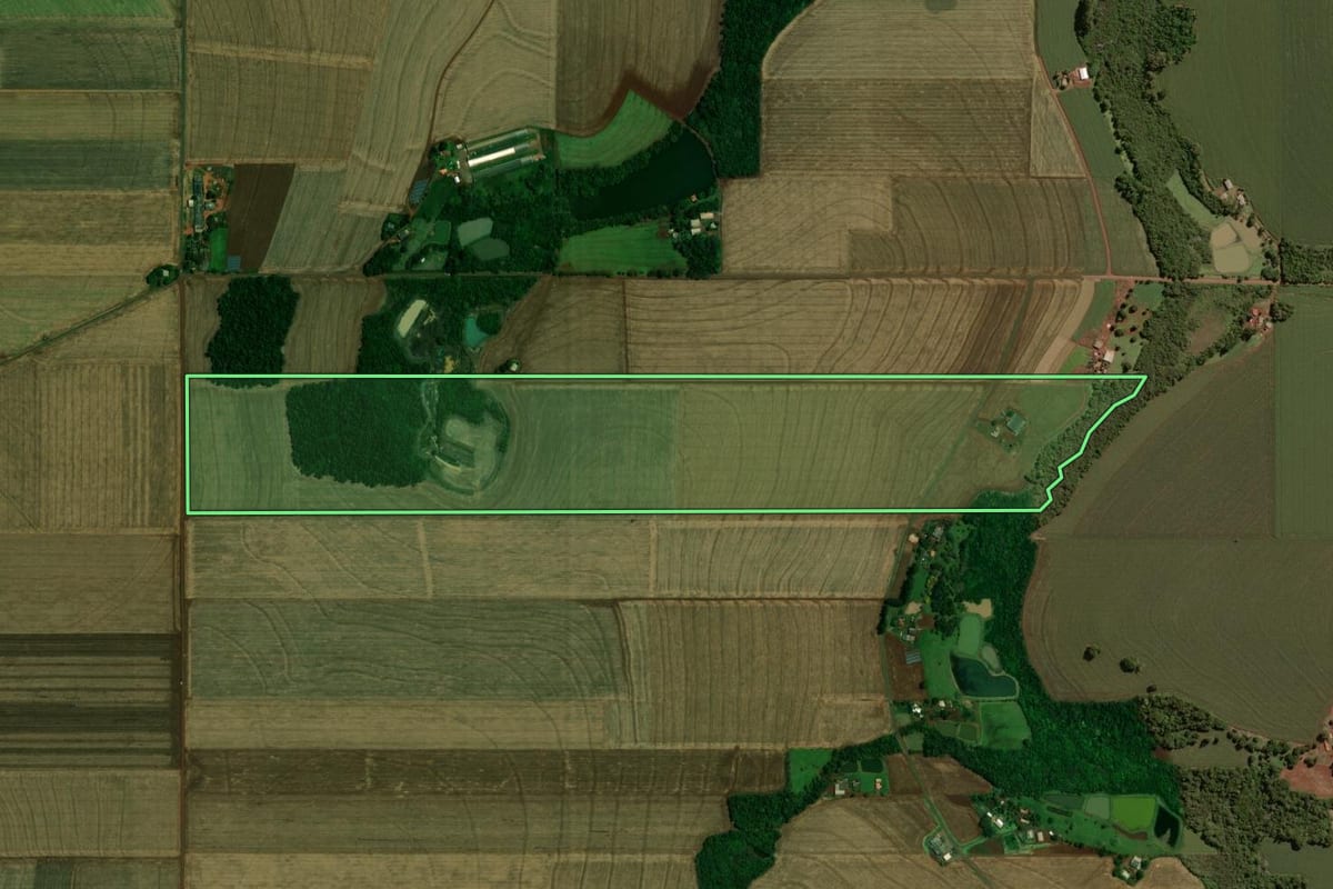 Imagem de satélite do imóvel rural em Palotina (PR), com o contorno declarado no CAR desenhado por cima.