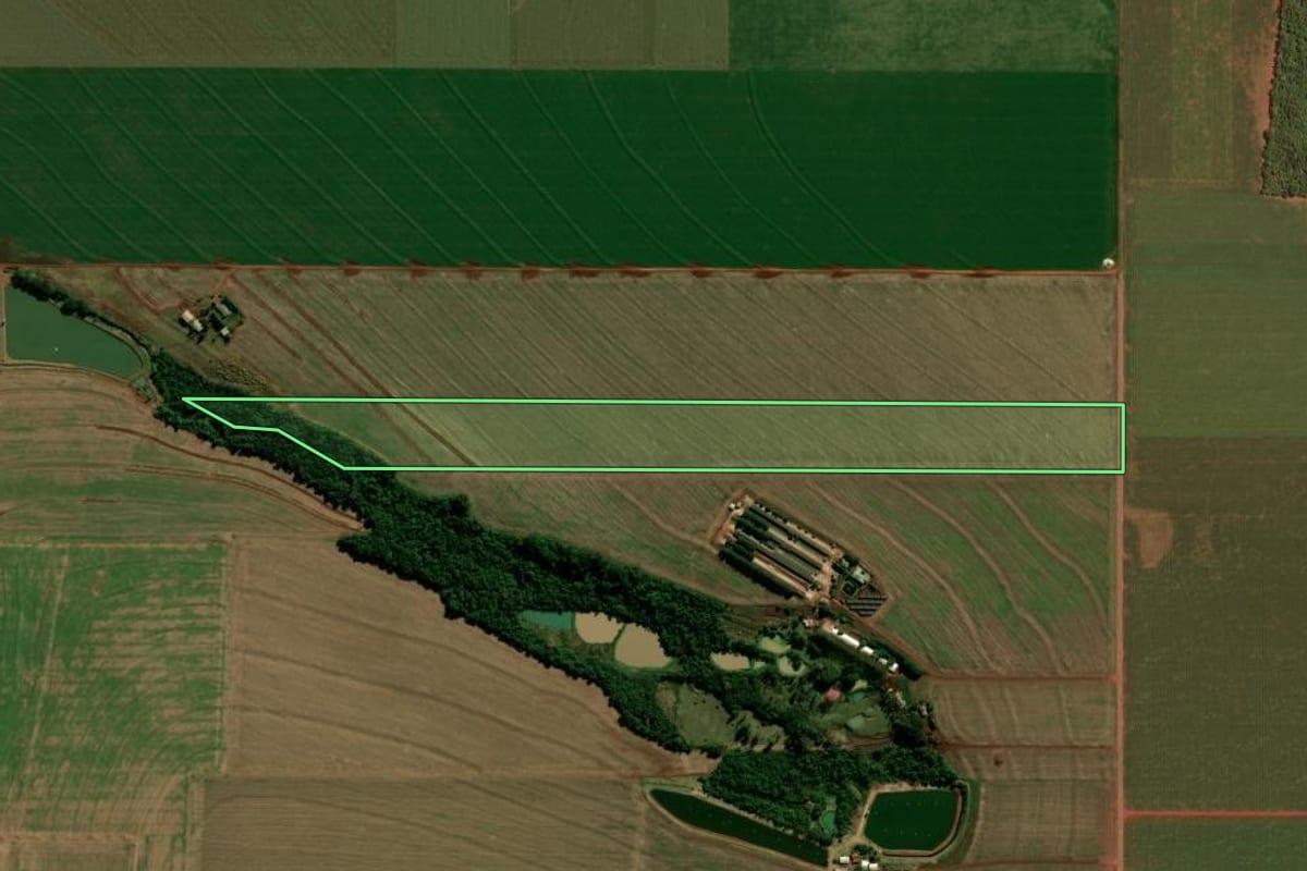 Imagem de satélite do imóvel rural em Palotina (PR), com o contorno declarado no CAR desenhado por cima.