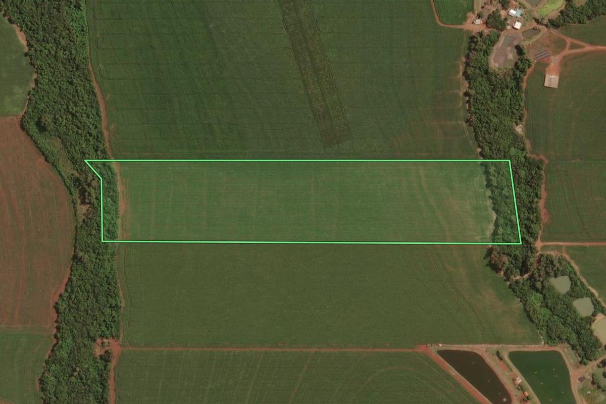 Imagem de satélite do imóvel rural em Palotina (PR), com o contorno declarado no CAR desenhado por cima.
