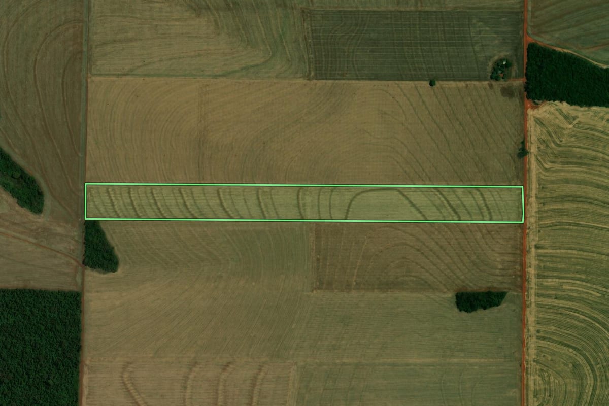 Imagem de satélite do imóvel rural em Palotina (PR), com o contorno declarado no CAR desenhado por cima.