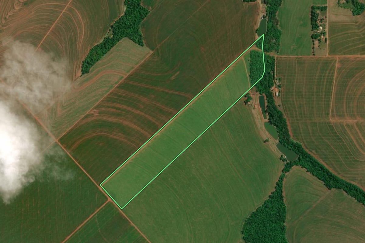 Imagem de satélite do imóvel rural em Palotina (PR), com o contorno declarado no CAR desenhado por cima.