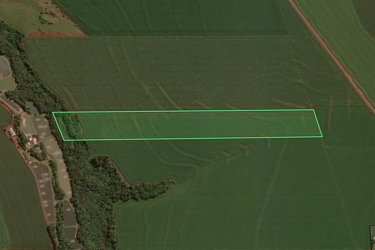 Imagem de satélite do imóvel rural em Palotina (PR), com o contorno declarado no CAR desenhado por cima.