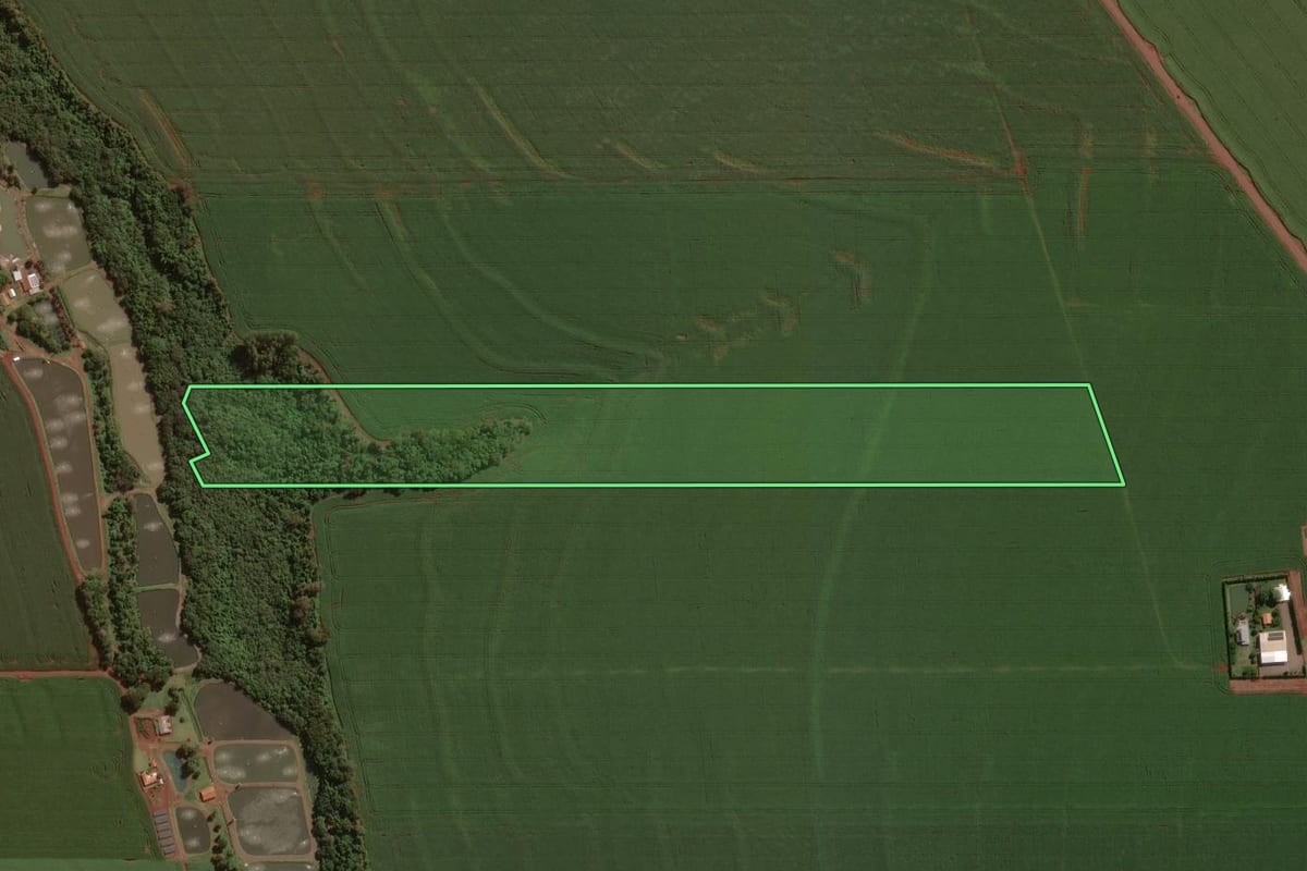 Imagem de satélite do imóvel rural em Palotina (PR), com o contorno declarado no CAR desenhado por cima.