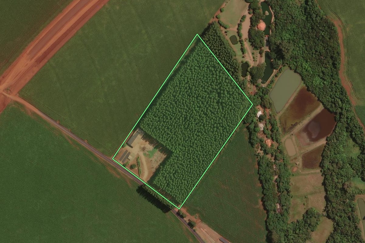 Imagem de satélite do imóvel rural em Palotina (PR), com o contorno declarado no CAR desenhado por cima.