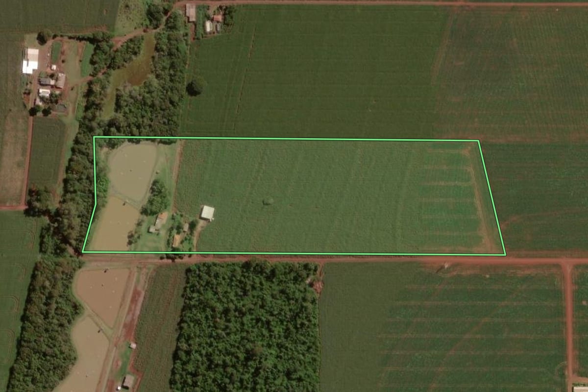 Imagem de satélite do imóvel rural em Palotina (PR), com o contorno declarado no CAR desenhado por cima.