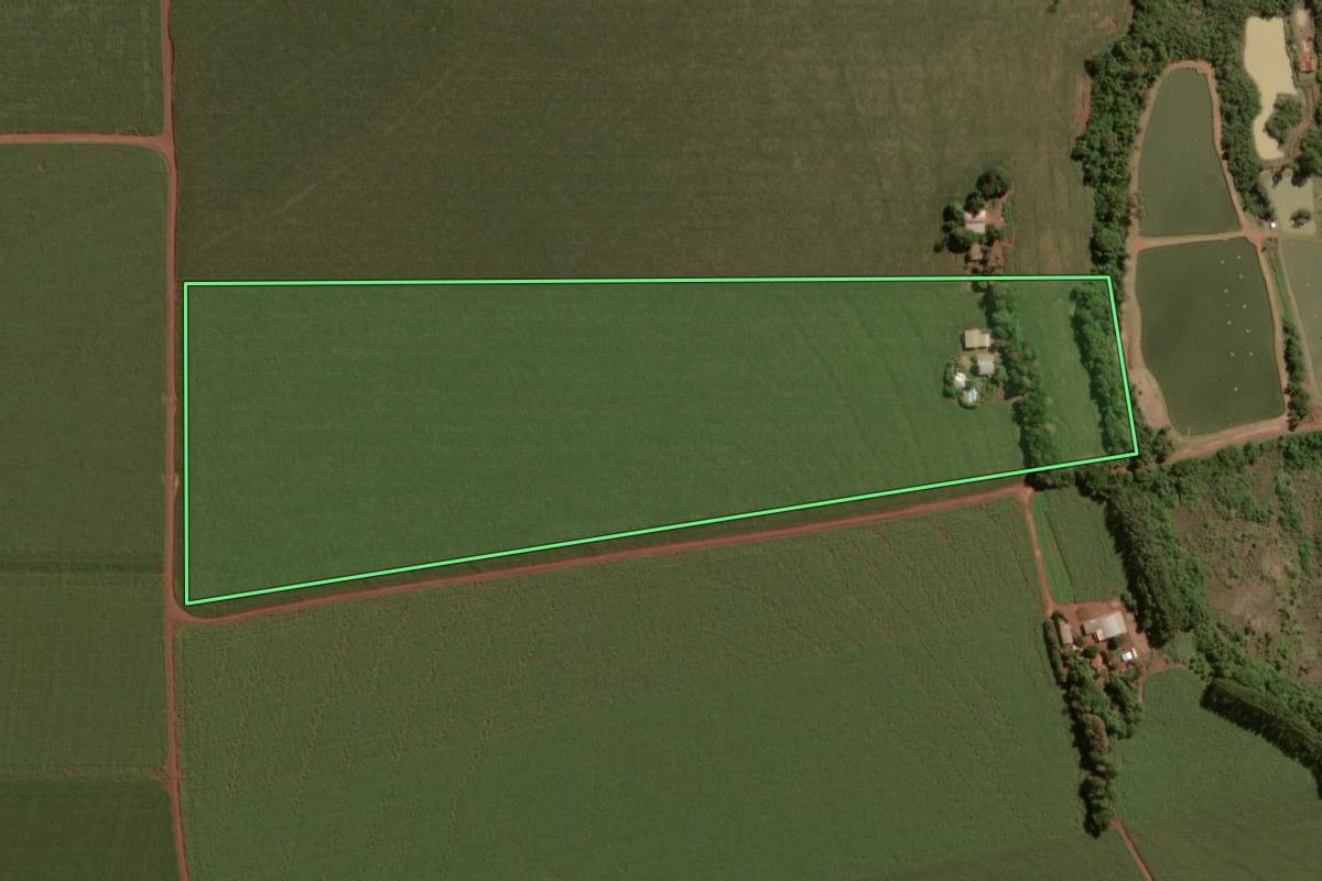 Imagem de satélite do imóvel rural em Palotina (PR), com o contorno declarado no CAR desenhado por cima.