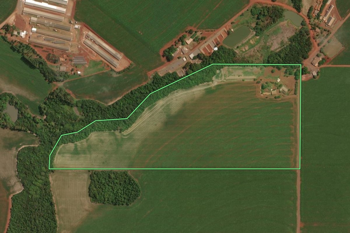 Imagem de satélite do imóvel rural em Palotina (PR), com o contorno declarado no CAR desenhado por cima.