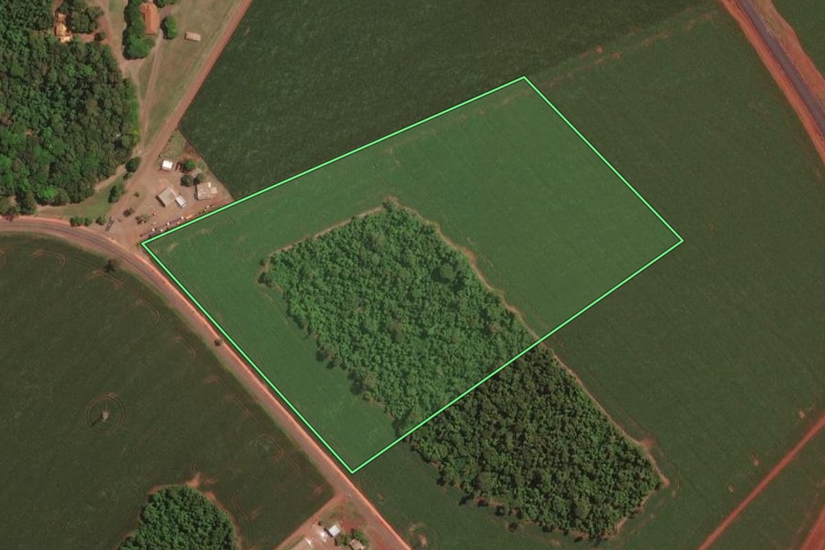 Imagem de satélite do imóvel rural em Palotina (PR), com o contorno declarado no CAR desenhado por cima.