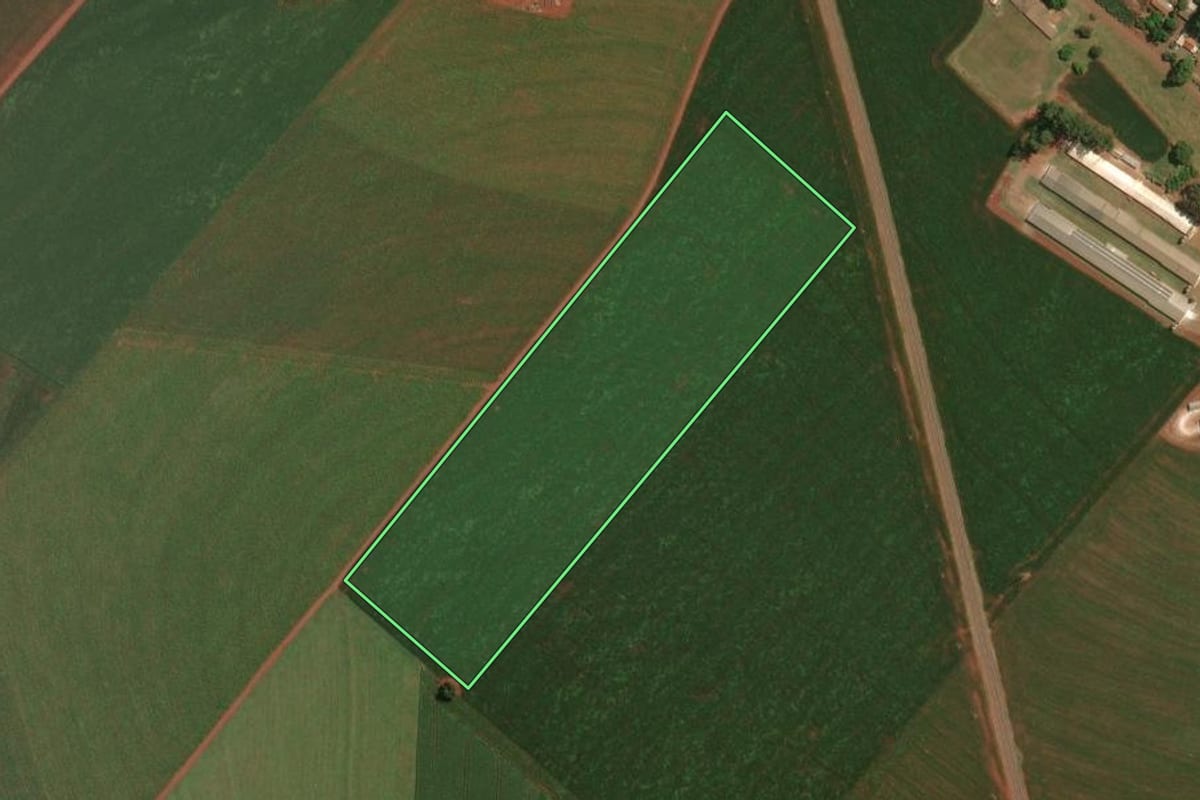 Imagem de satélite do imóvel rural em Palotina (PR), com o contorno declarado no CAR desenhado por cima.