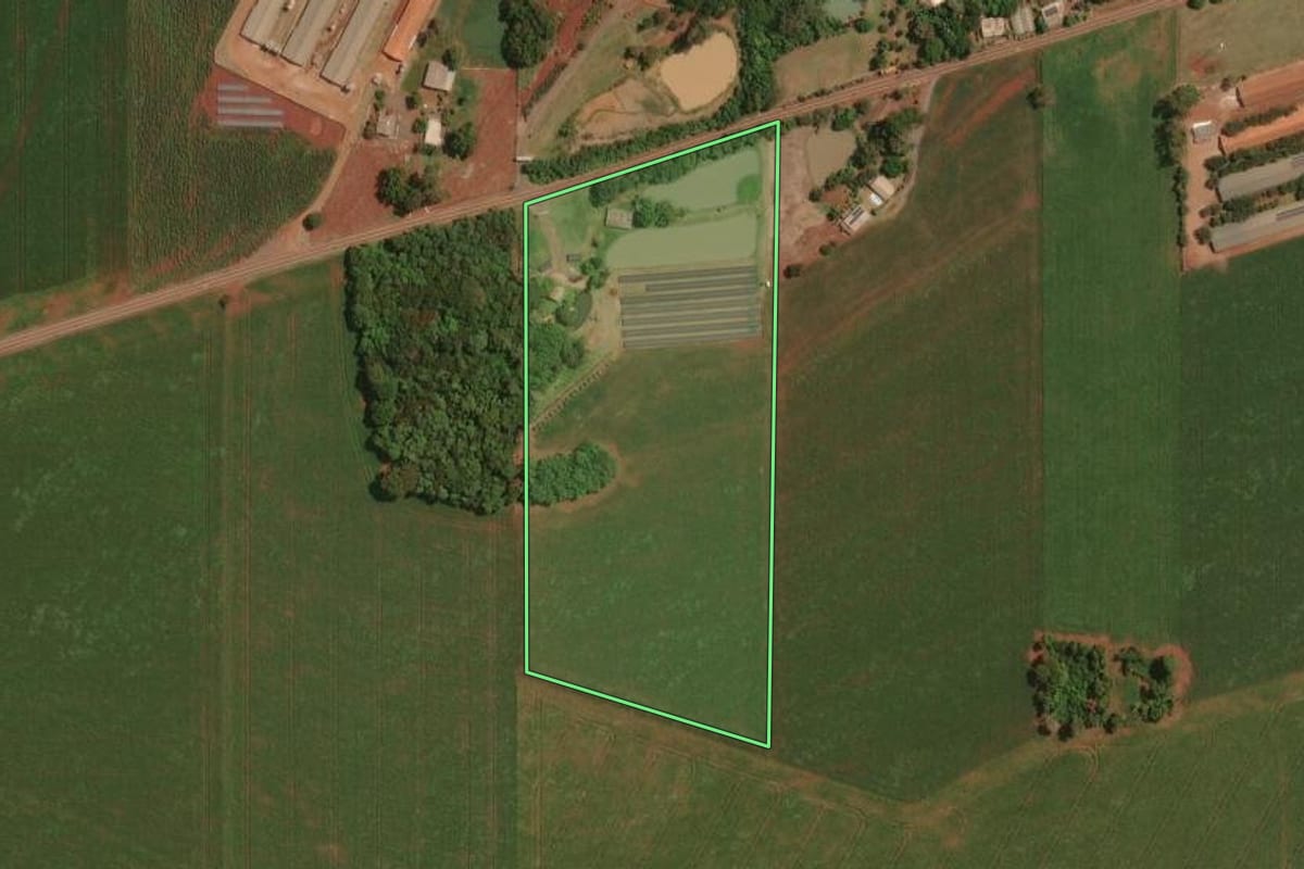Imagem de satélite do imóvel rural em Palotina (PR), com o contorno declarado no CAR desenhado por cima.