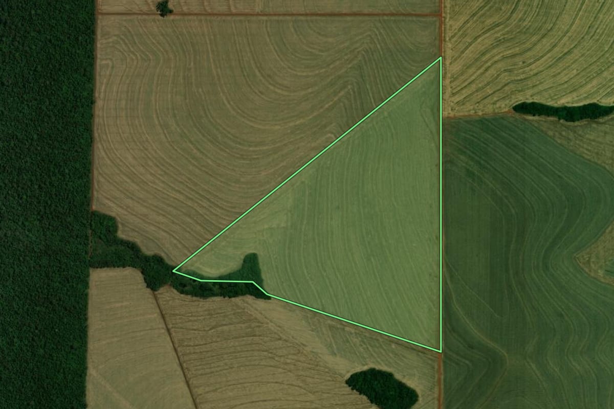 Imagem de satélite do imóvel rural em Palotina (PR), com o contorno declarado no CAR desenhado por cima.