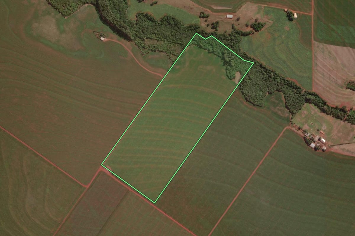 Imagem de satélite do imóvel rural em Palotina (PR), com o contorno declarado no CAR desenhado por cima.