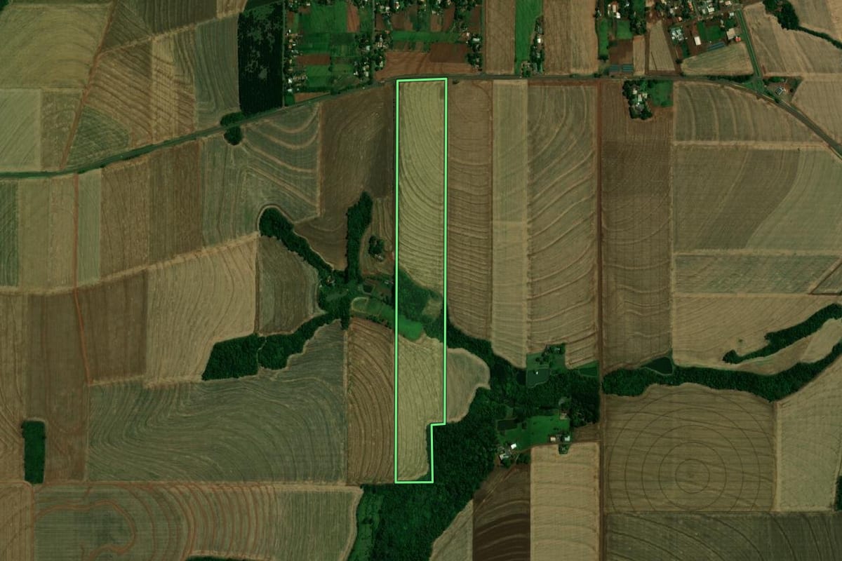 Imagem de satélite do imóvel rural em Palotina (PR), com o contorno declarado no CAR desenhado por cima.