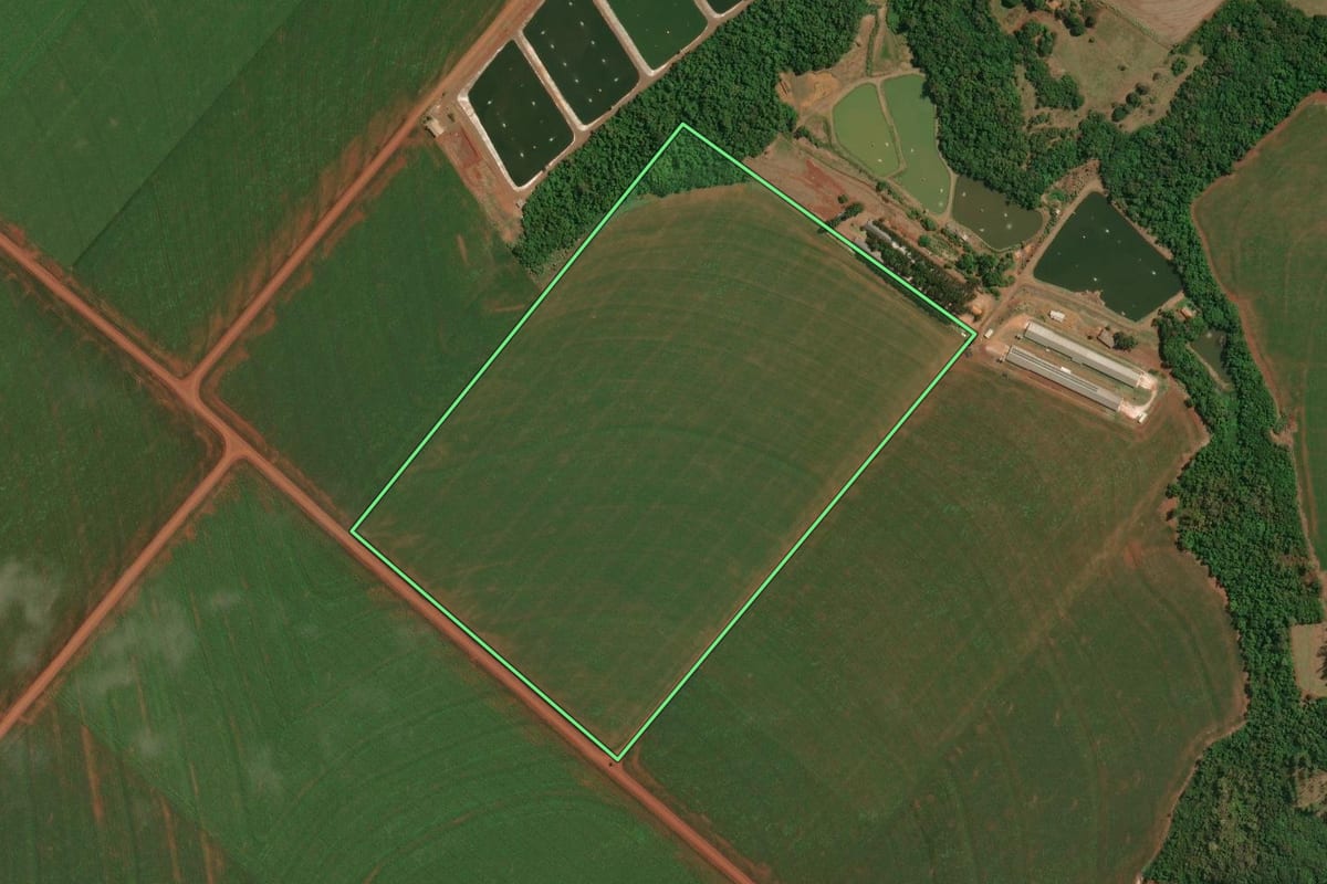 Imagem de satélite do imóvel rural em Palotina (PR), com o contorno declarado no CAR desenhado por cima.
