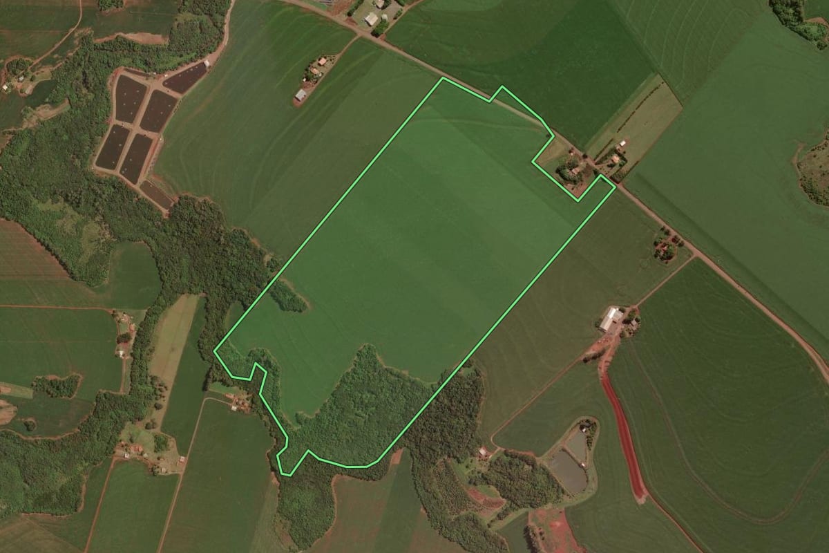 Imagem de satélite do imóvel rural em Palotina (PR), com o contorno declarado no CAR desenhado por cima.