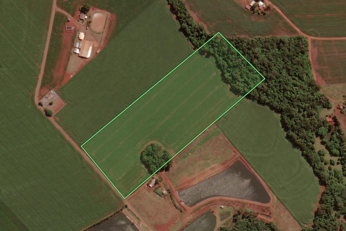 Imagem de satélite do imóvel rural em Palotina (PR), com o contorno declarado no CAR desenhado por cima.