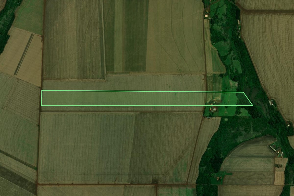 Imagem de satélite do imóvel rural em Palotina (PR), com o contorno declarado no CAR desenhado por cima.