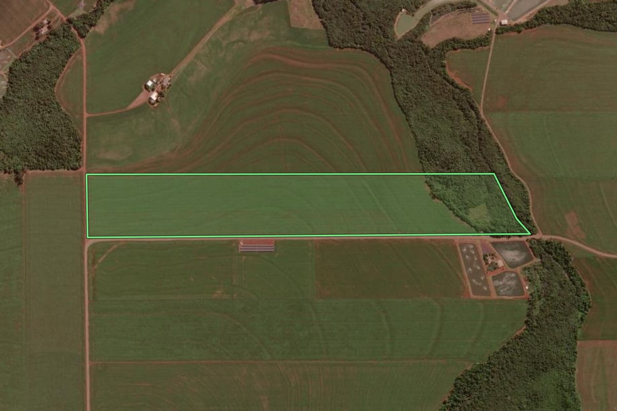 Imagem de satélite do imóvel rural em Palotina (PR), com o contorno declarado no CAR desenhado por cima.