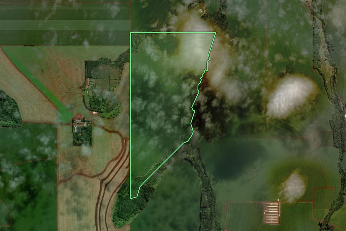 Imagem de satélite do imóvel rural em Palotina (PR), com o contorno declarado no CAR desenhado por cima.