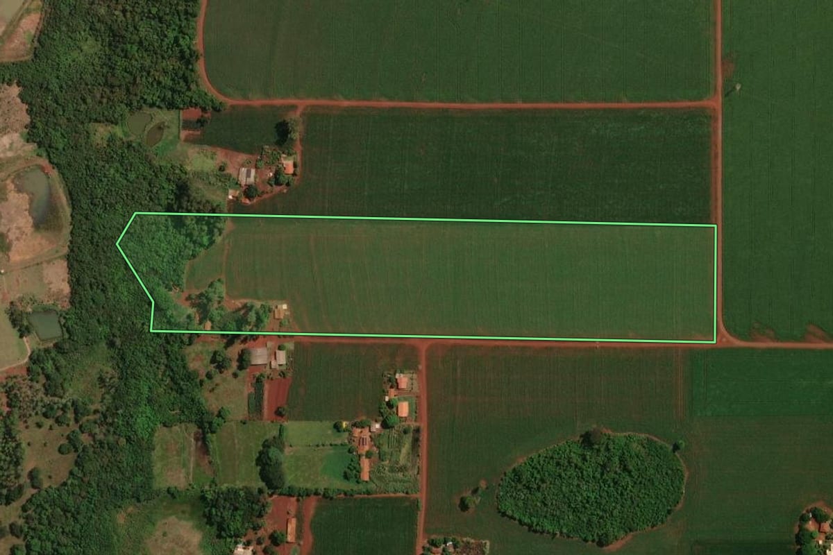 Imagem de satélite do imóvel rural em Palotina (PR), com o contorno declarado no CAR desenhado por cima.