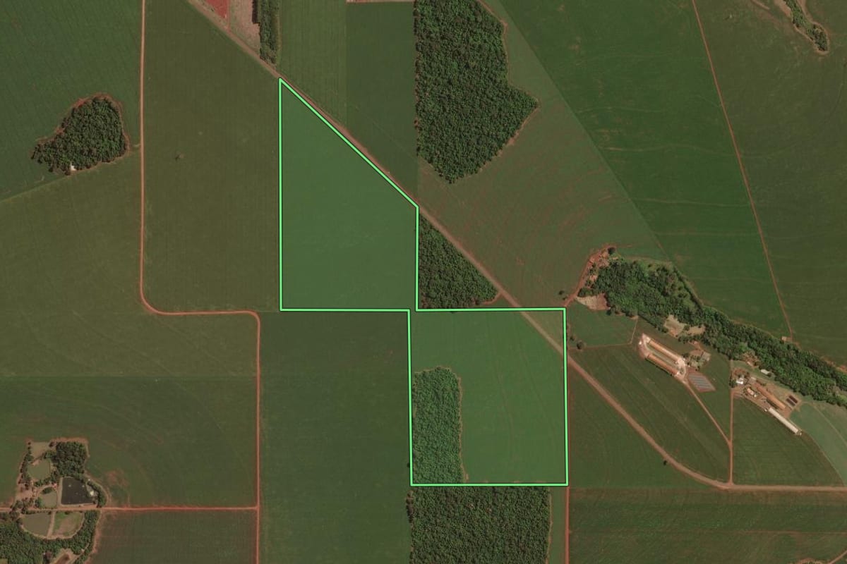 Imagem de satélite do imóvel rural em Palotina (PR), com o contorno declarado no CAR desenhado por cima.