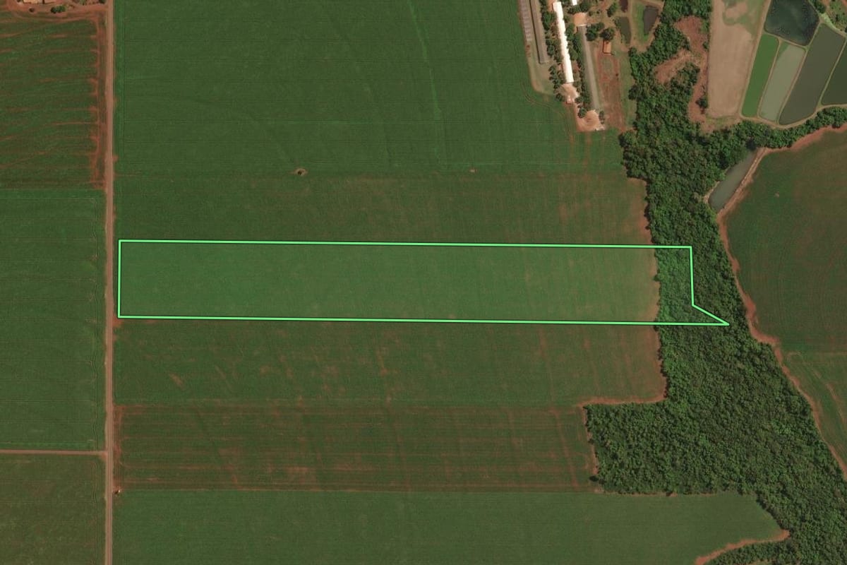 Imagem de satélite do imóvel rural em Palotina (PR), com o contorno declarado no CAR desenhado por cima.