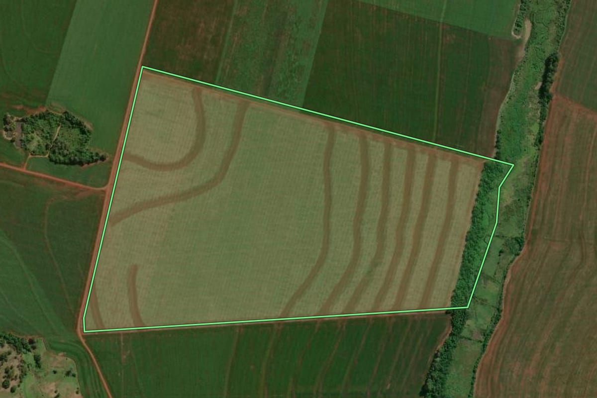 Imagem de satélite do imóvel rural em Palotina (PR), com o contorno declarado no CAR desenhado por cima.