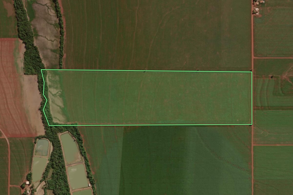 Imagem de satélite do imóvel rural em Palotina (PR), com o contorno declarado no CAR desenhado por cima.
