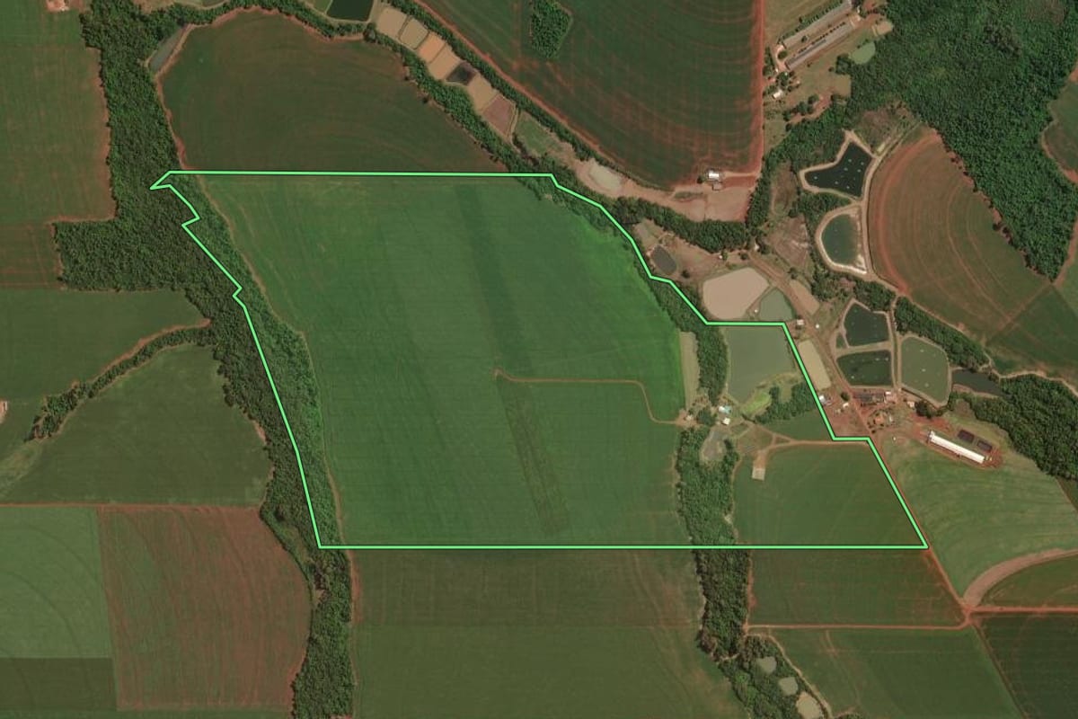 Imagem de satélite do imóvel rural em Palotina (PR), com o contorno declarado no CAR desenhado por cima.
