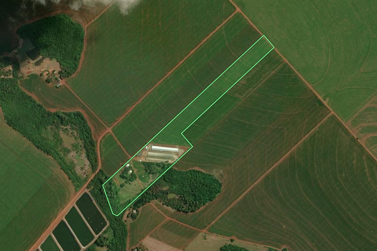 Imagem de satélite do imóvel rural em Palotina (PR), com o contorno declarado no CAR desenhado por cima.