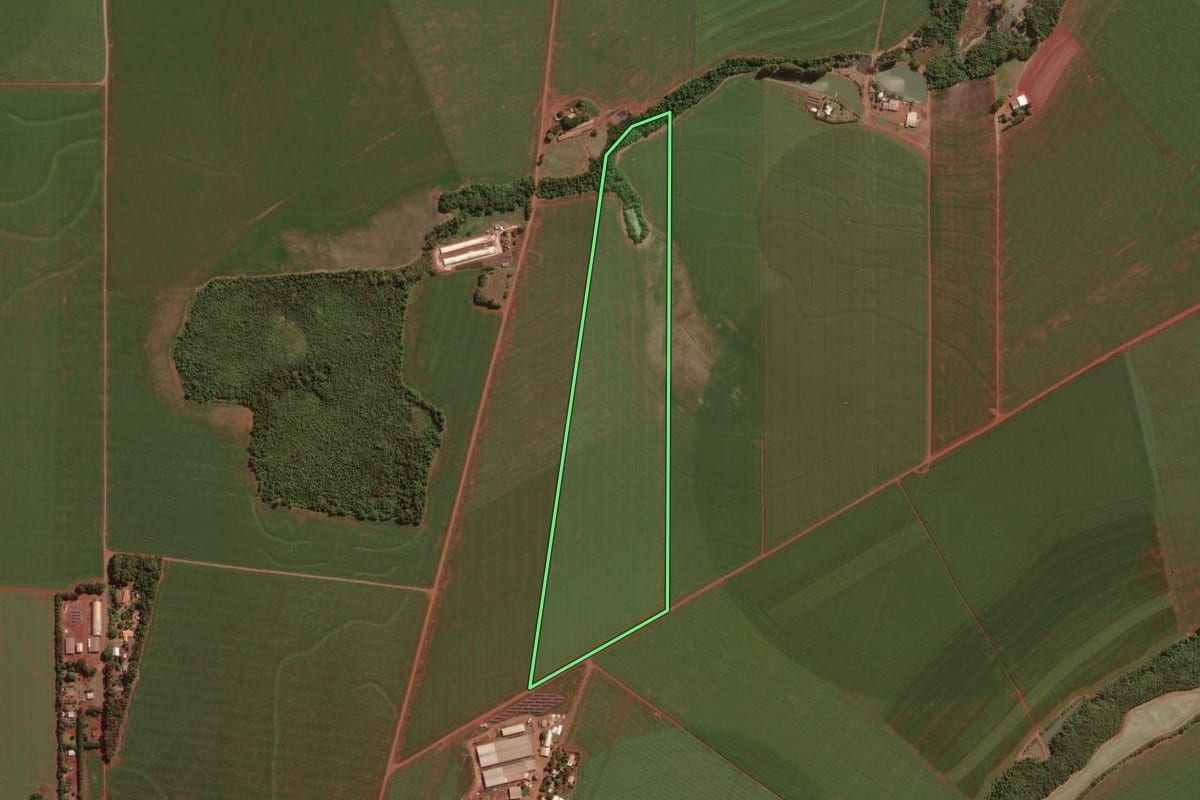 Imagem de satélite do imóvel rural em Palotina (PR), com o contorno declarado no CAR desenhado por cima.