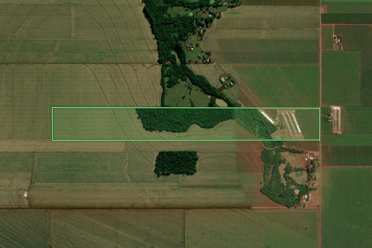 Imagem de satélite do imóvel rural em Palotina (PR), com o contorno declarado no CAR desenhado por cima.